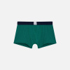 Cotton boxers - green - 10