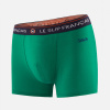 Formidable Embroidered Spruce 'Sprinteur' - green - 7