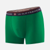 Formidable Spruce - green - 12