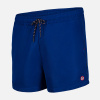 Indigo Pegasus - blue - 2