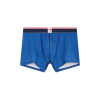 Duo of cotton boxers and socks - blue - 1